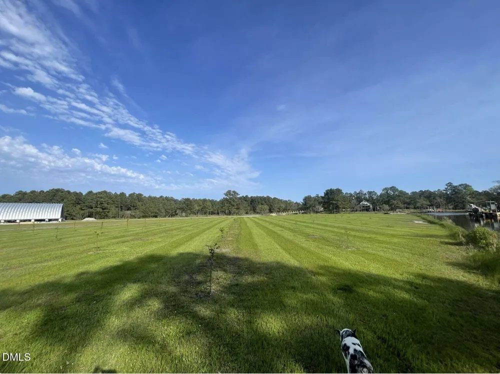 3927 Whortonsville Road Merritt, NC 28556