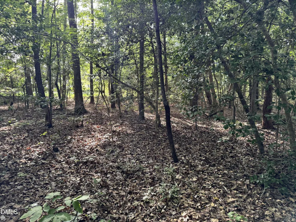 Tbd Alton Road Eagle Springs, NC 27242