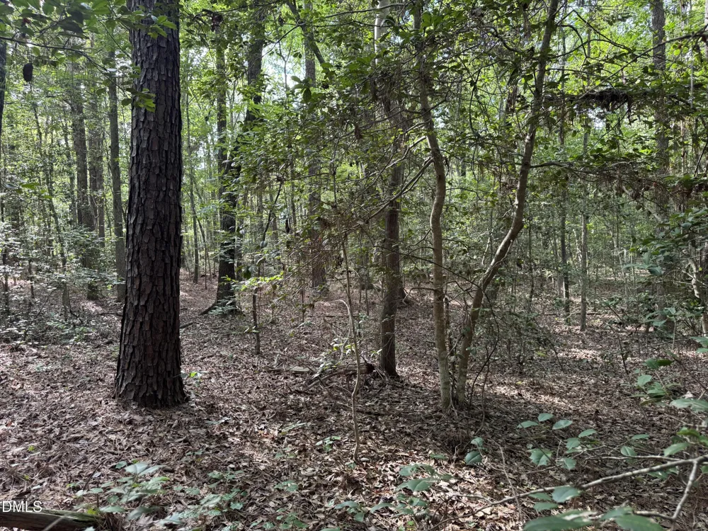 Tbd Alton Road Eagle Springs, NC 27242