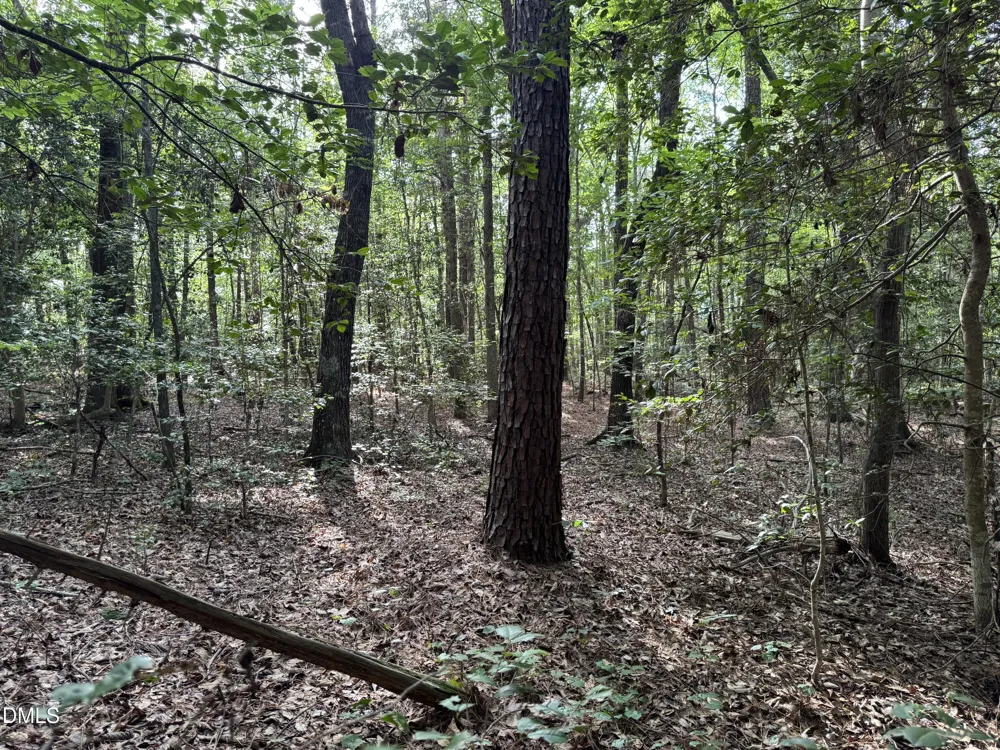 Tbd Alton Road Eagle Springs, NC 27242