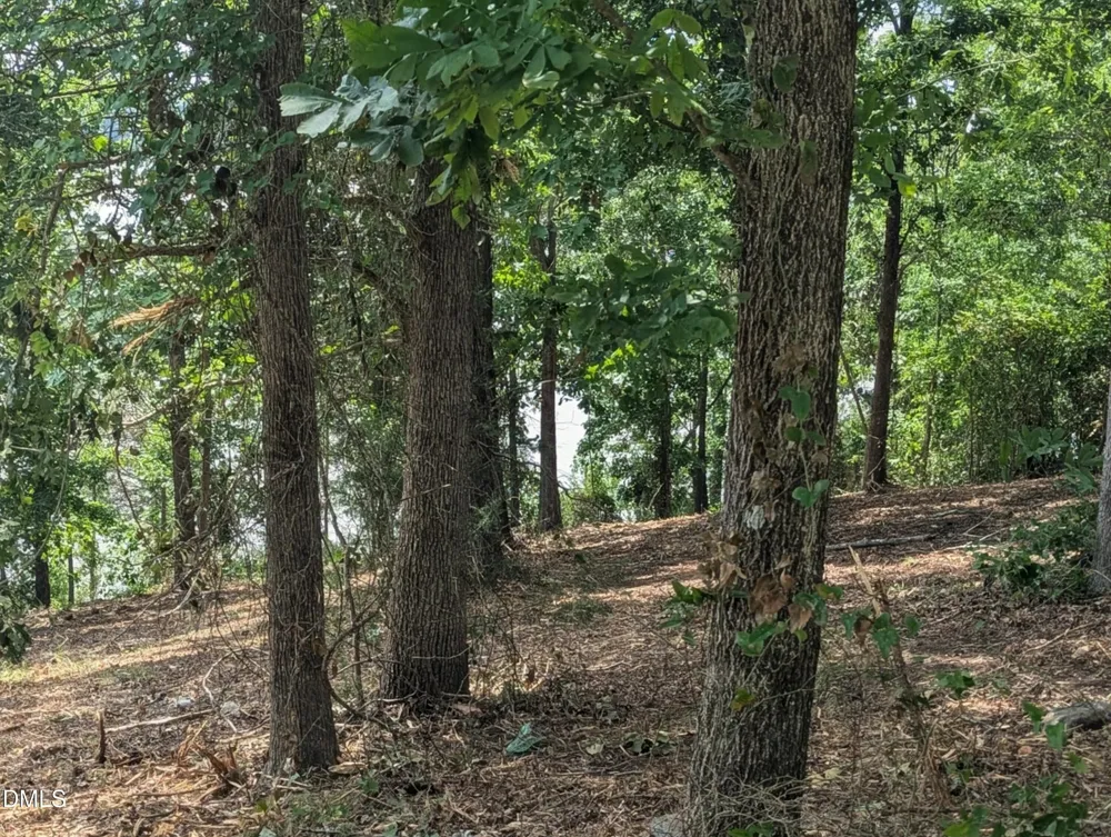 115 Sunset Drive Clarksville, VA 23927