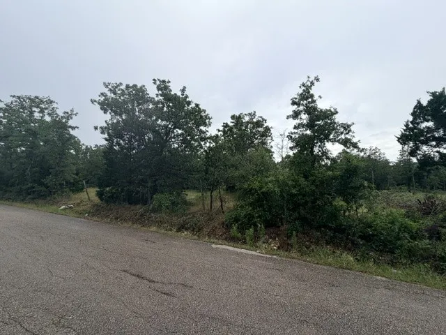 McDonald Lane W Cedar Creek, TX 78612