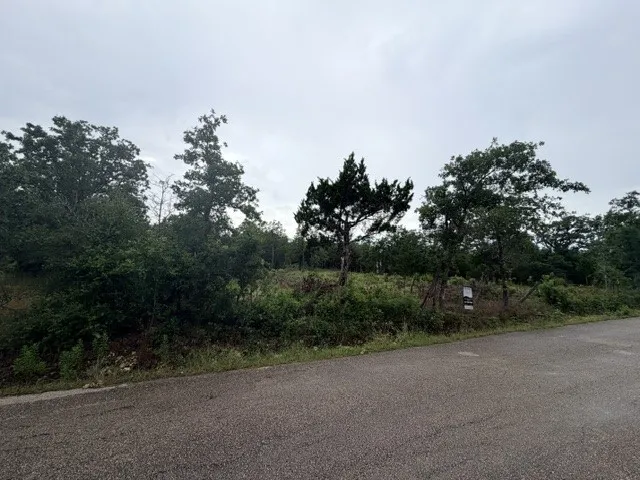 McDonald Lane W Cedar Creek, TX 78612