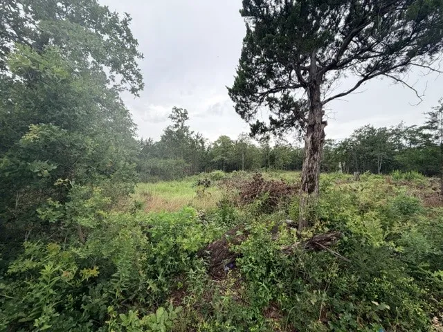 McDonald Lane W Cedar Creek, TX 78612