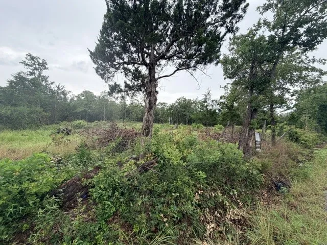 McDonald Lane W Cedar Creek, TX 78612