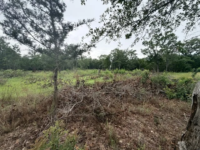 McDonald Lane W Cedar Creek, TX 78612