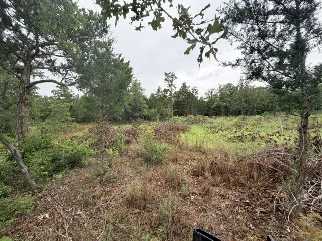McDonald Lane W Cedar Creek, TX 78612
