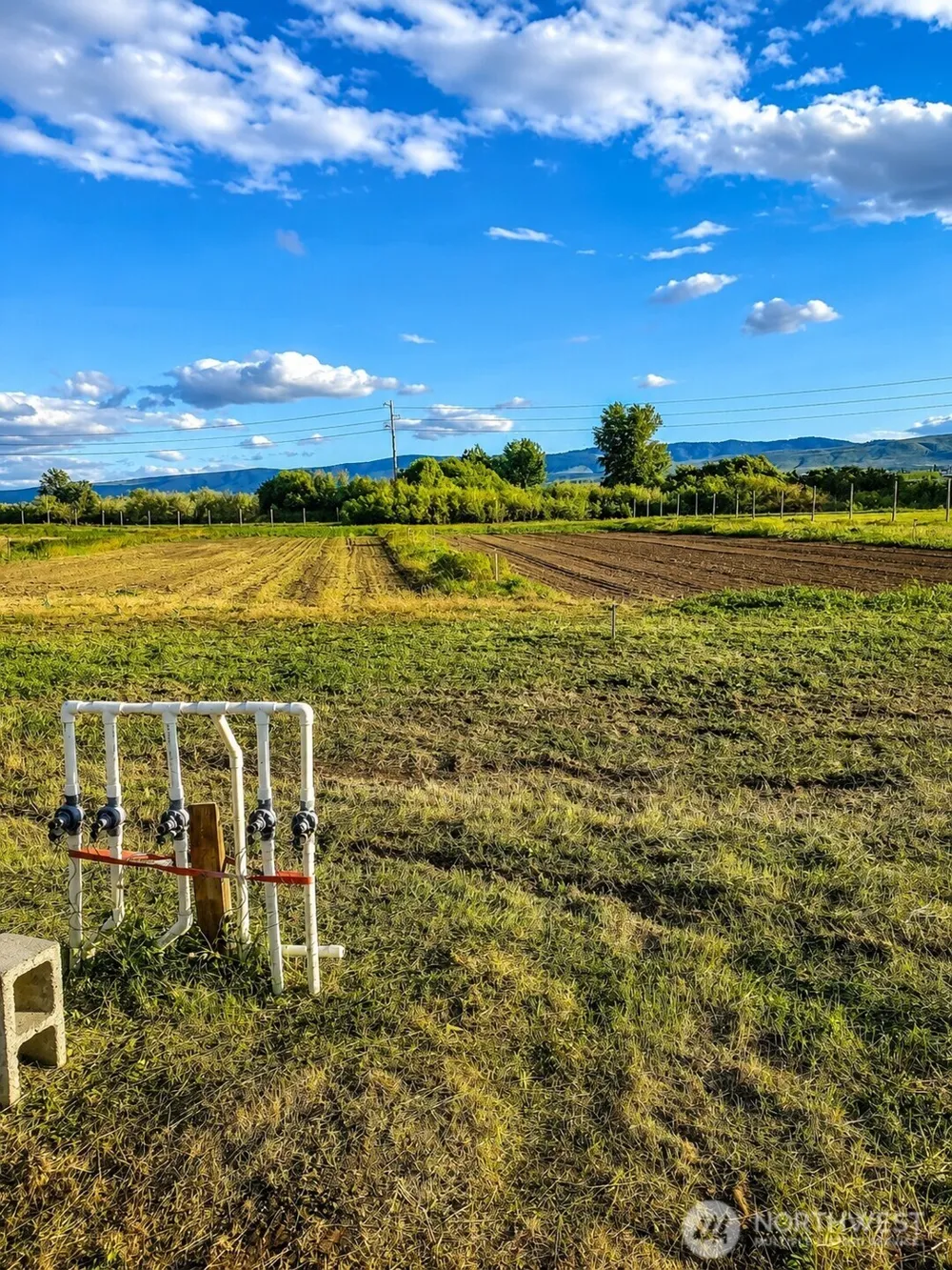 300 Wade Road Thorp, WA 98946