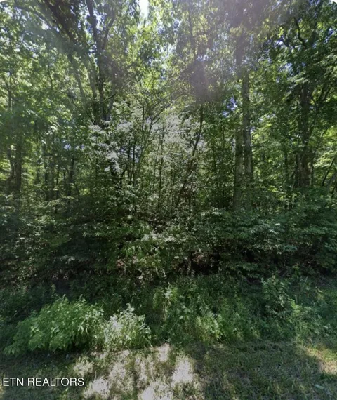 6115 Pocahontas Lane