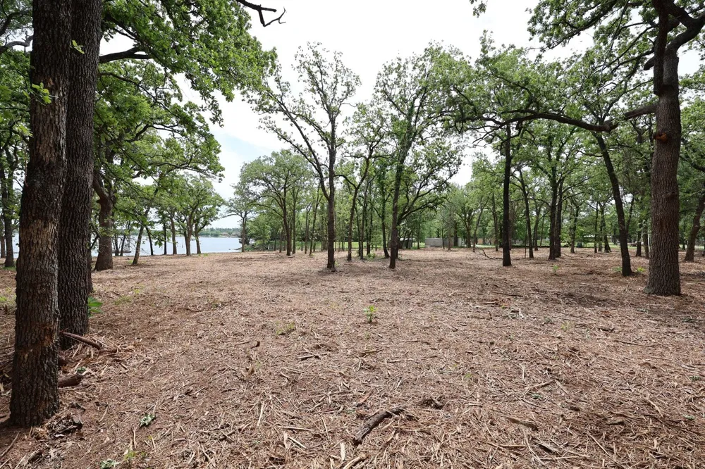 Selma  LOT 8 Bowie, TX 76230