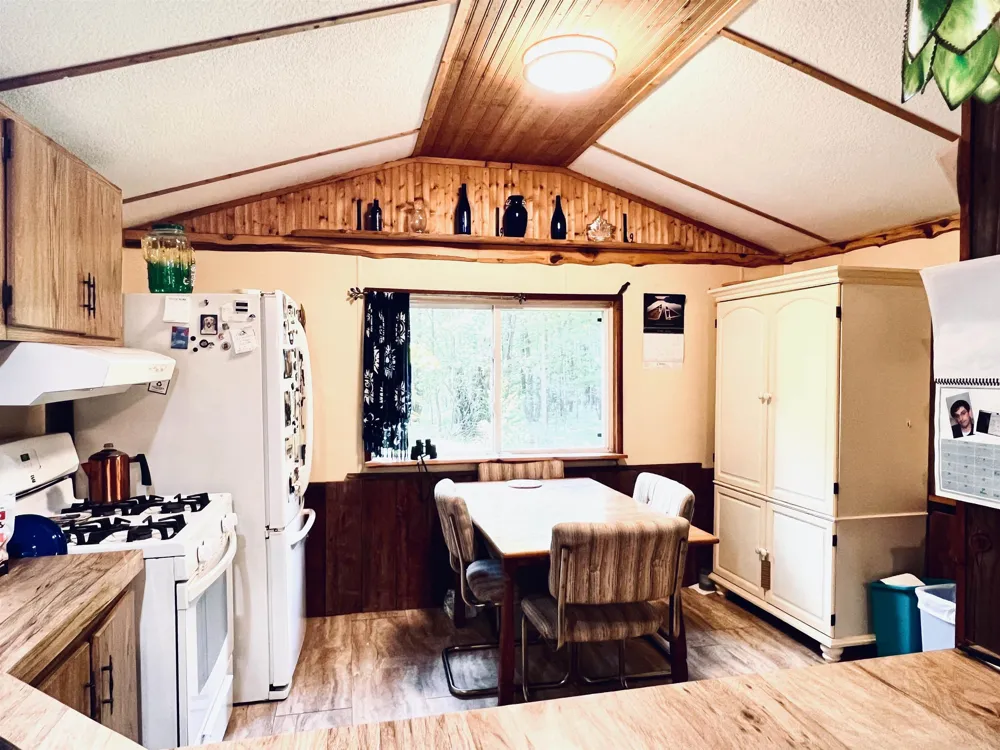 154 Hills Circle Rose Lake Township, MI 49655