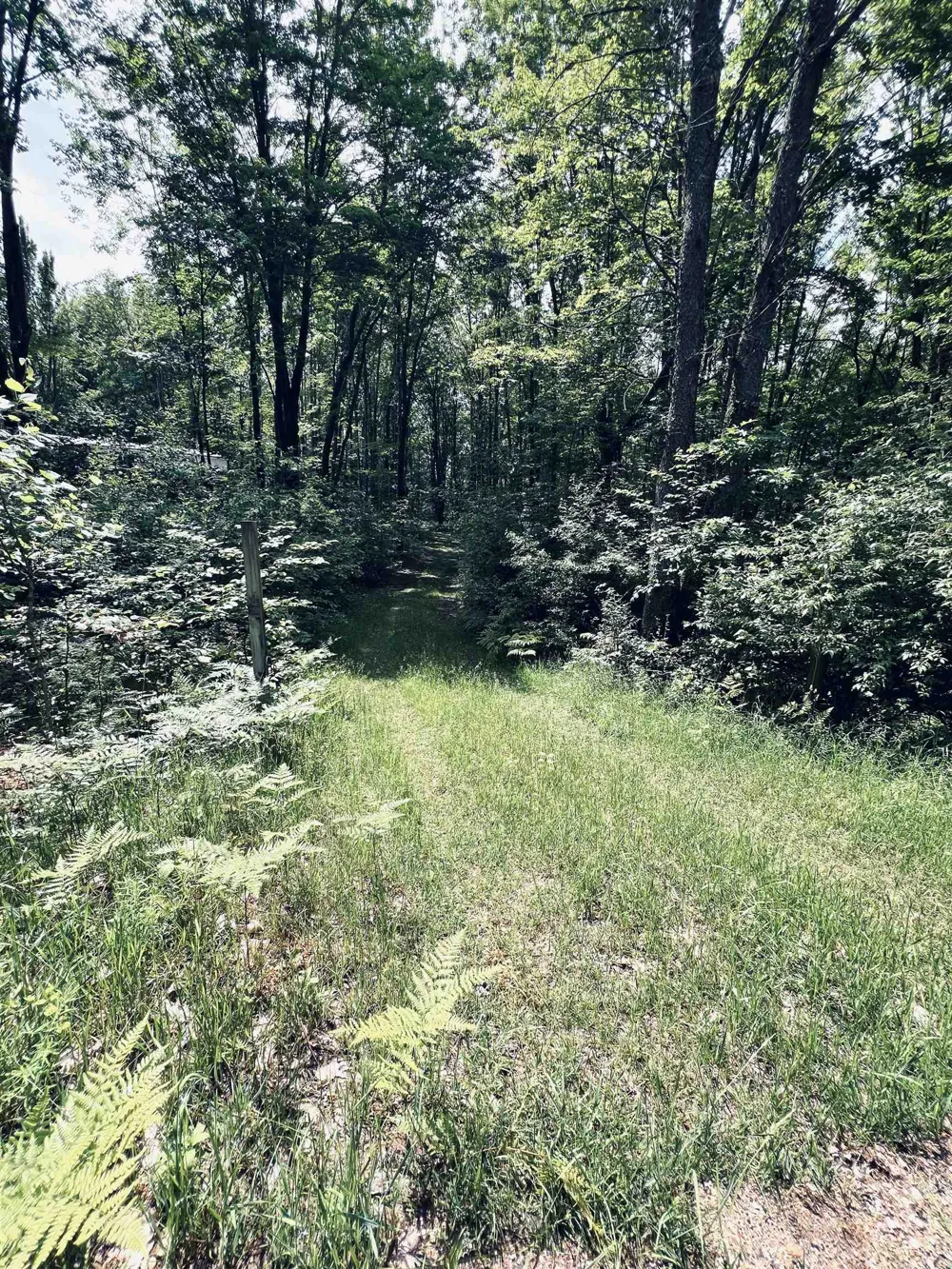 154 Hills Circle Rose Lake Township, MI 49655