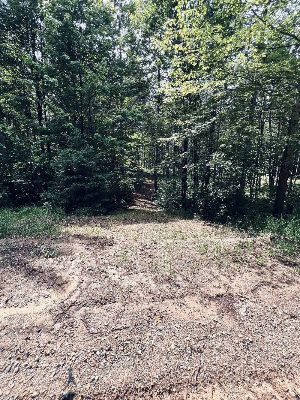 154 Hills Circle Rose Lake Township, MI 49655