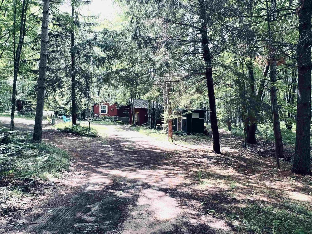154 Hills Circle Rose Lake Township, MI 49655