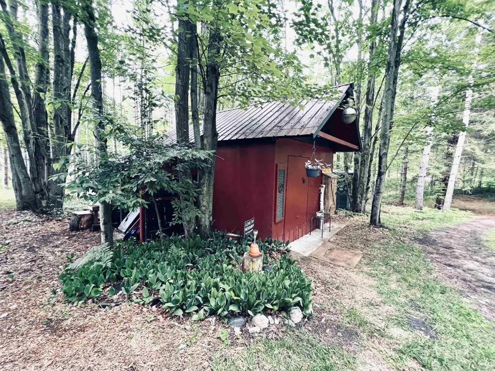 154 Hills Circle Rose Lake Township, MI 49655