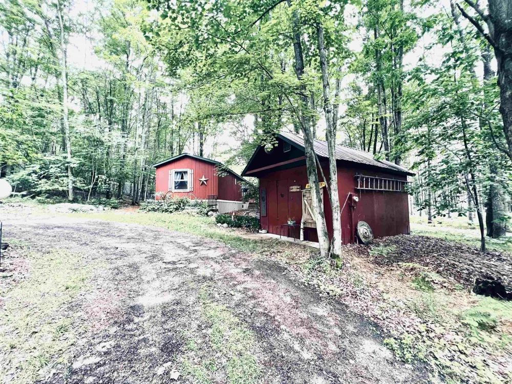 154 Hills Circle Rose Lake Township, MI 49655