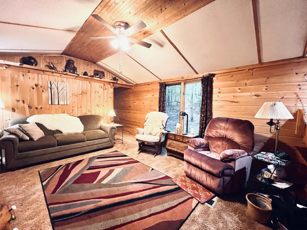 154 Hills Circle Rose Lake Township, MI 49655