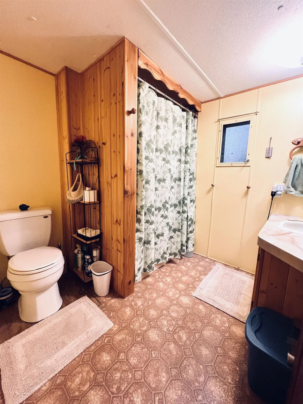 154 Hills Circle Rose Lake Township, MI 49655