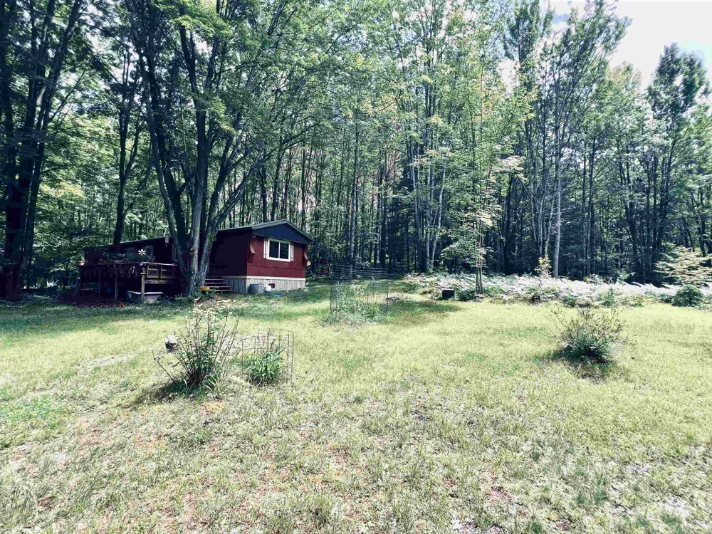 154 Hills Circle Rose Lake Township, MI 49655