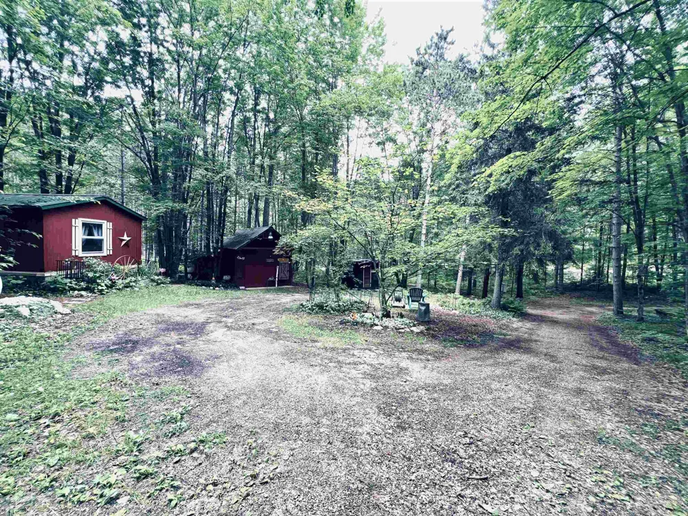 154 Hills Circle Rose Lake Township, MI 49655