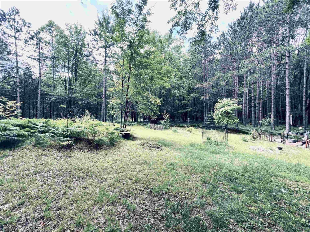 154 Hills Circle Rose Lake Township, MI 49655