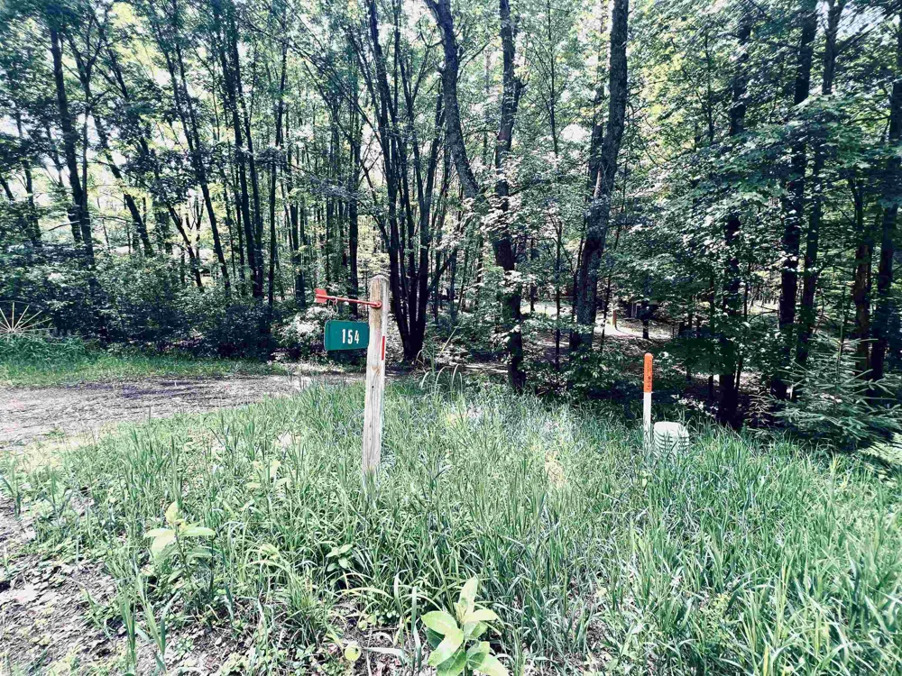 154 Hills Circle Rose Lake Township, MI 49655