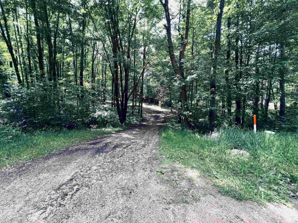 154 Hills Circle Rose Lake Township, MI 49655
