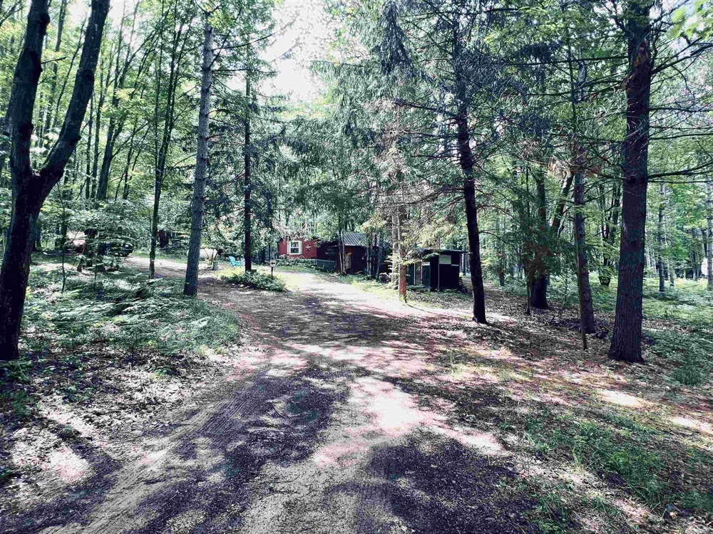 154 Hills Circle Rose Lake Township, MI 49655