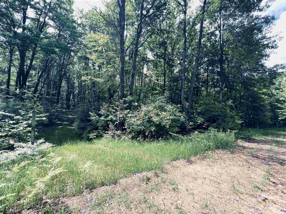 154 Hills Circle Rose Lake Township, MI 49655
