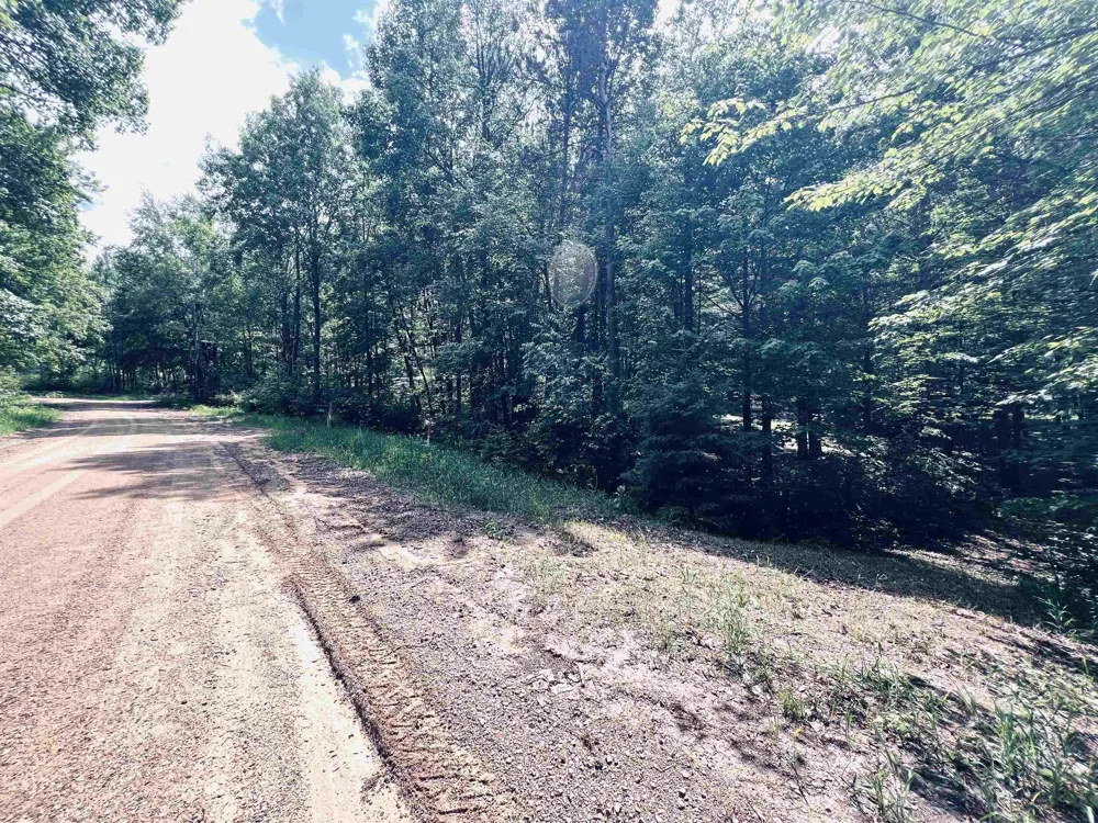 154 Hills Circle Rose Lake Township, MI 49655