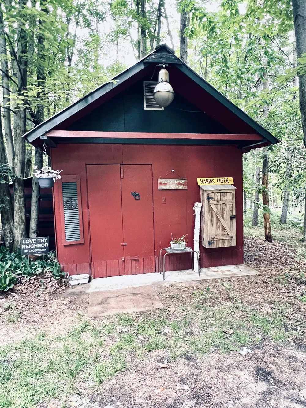 154 Hills Circle Rose Lake Township, MI 49655
