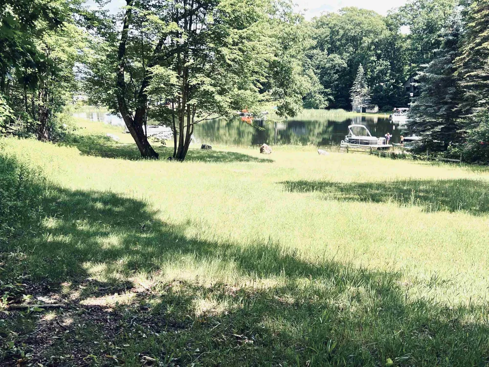 154 Hills Circle Rose Lake Township, MI 49655
