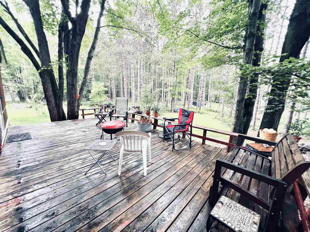 154 Hills Circle Rose Lake Township, MI 49655