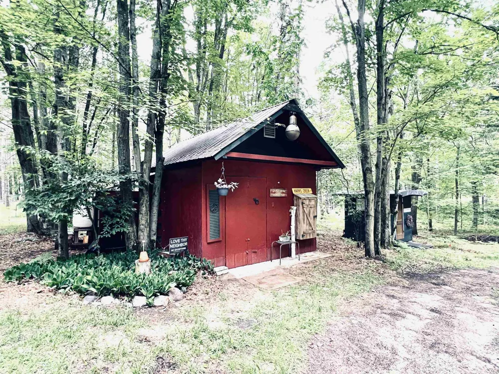154 Hills Circle Rose Lake Township, MI 49655