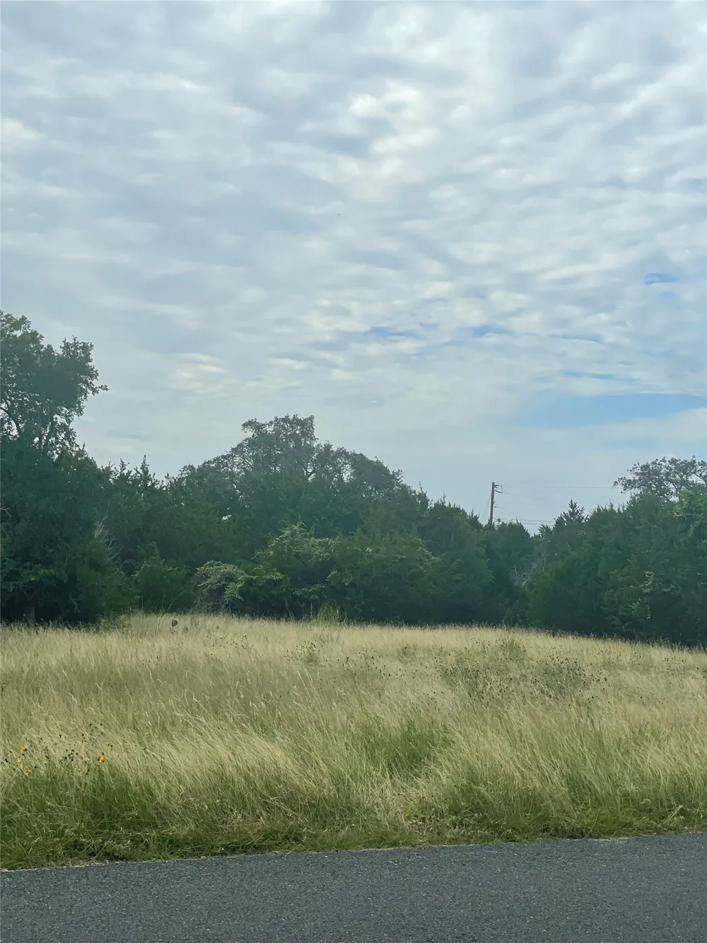 255 Sedro Trail Georgetown, TX 78633