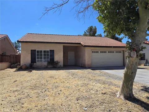 14572 Agave