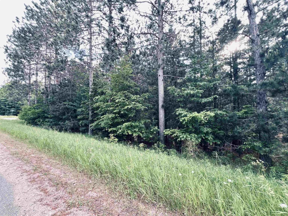 5905 E Moorestown Road Norwich Township, MI 49651