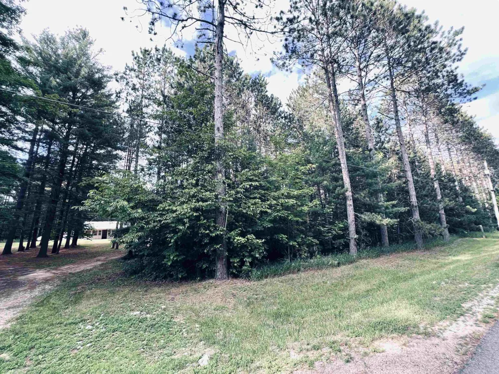 5905 E Moorestown Road Norwich Township, MI 49651