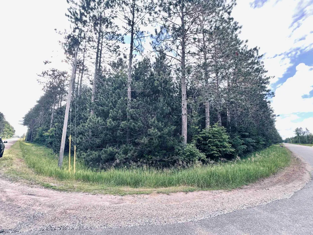 5905 E Moorestown Road Norwich Township, MI 49651