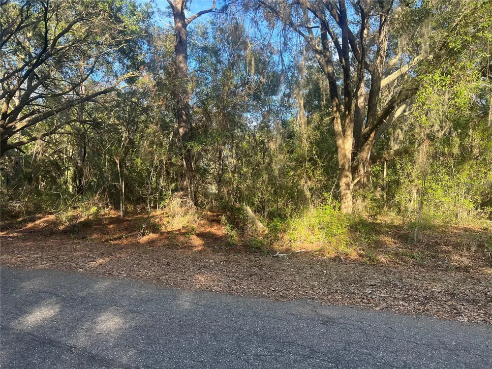 GUAVA TERRACE Ocklawaha, FL 32179