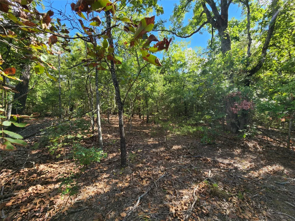 CR-4710 Larue, TX 75770