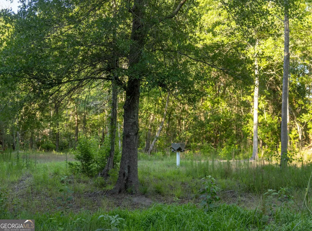 300 Beulah RD Sylvania, GA 30467