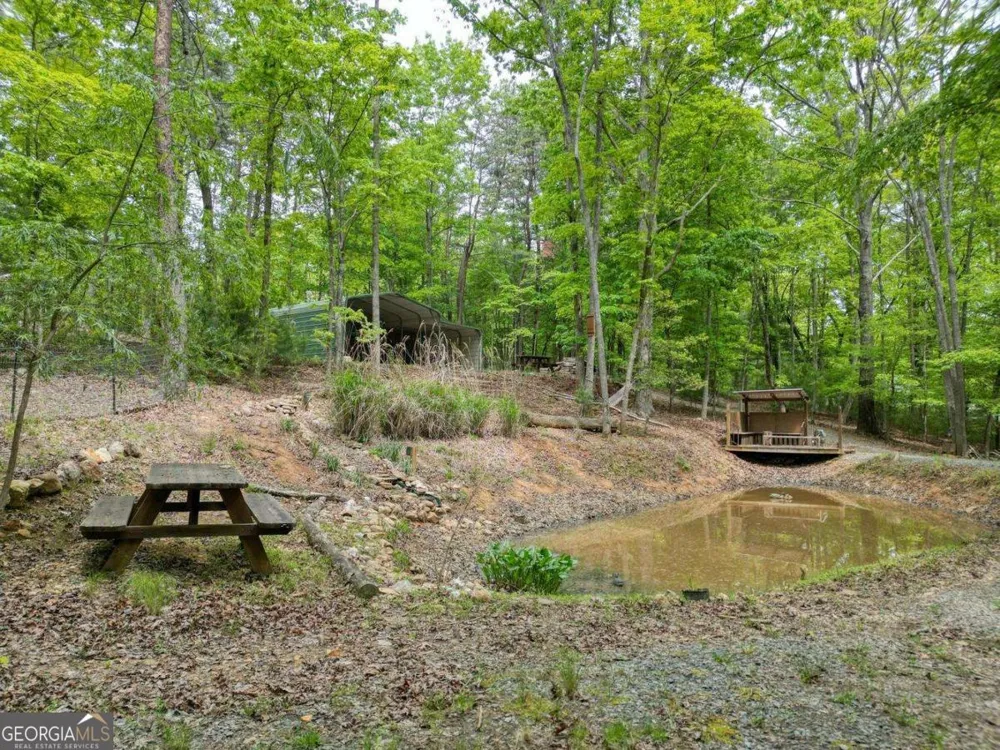 85 Cold Springs RD Morganton, GA 30560