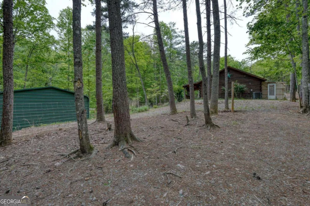 85 Cold Springs RD Morganton, GA 30560