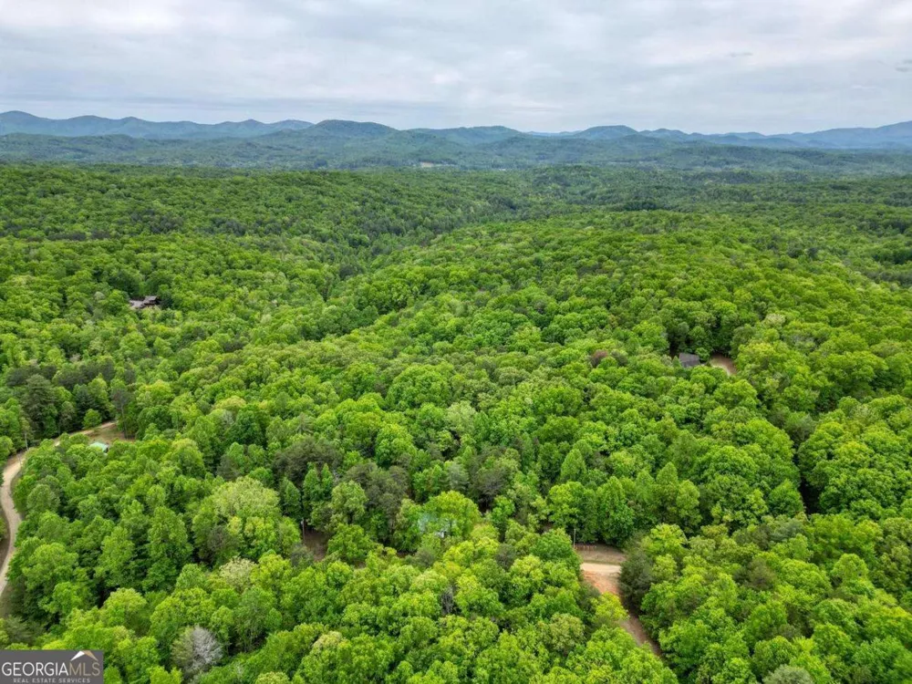 85 Cold Springs RD Morganton, GA 30560