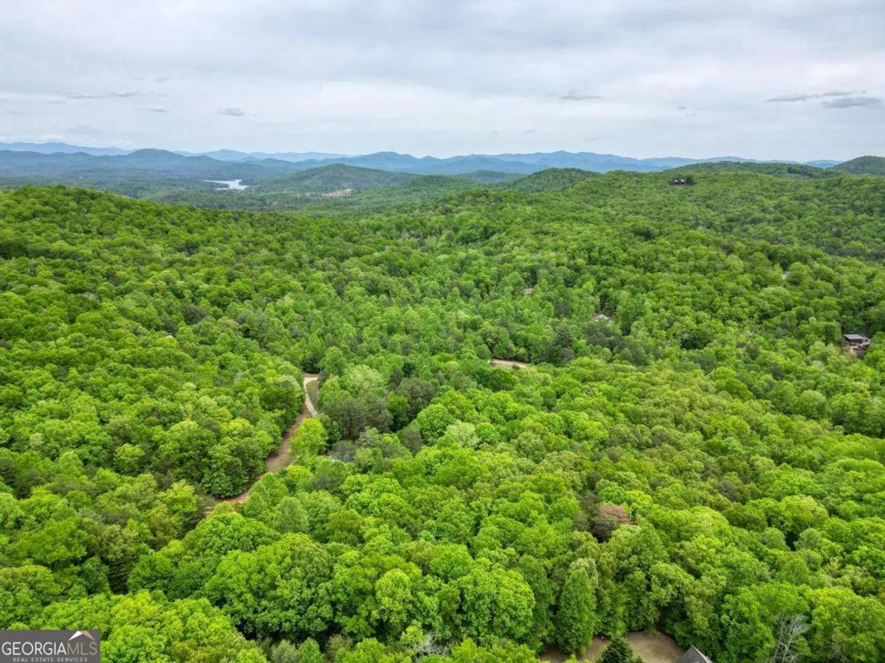 85 Cold Springs RD Morganton, GA 30560