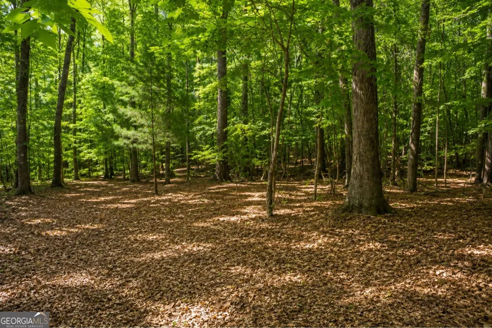 365 Riverridge TRL Oxford, GA 30054