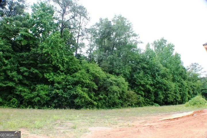 1224 Snow Hill RD Cadwell, GA 31009