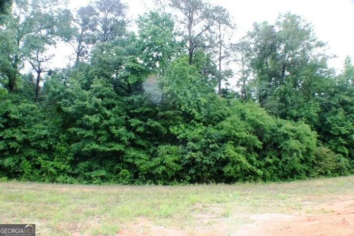 1224 Snow Hill RD Cadwell, GA 31009