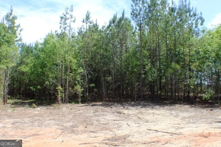 1224 Snow Hill RD Cadwell, GA 31009
